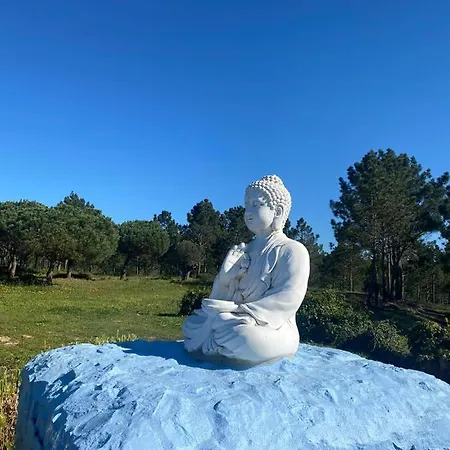Casa Vicentina *