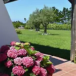 Casa Vicentina * Odeceixe